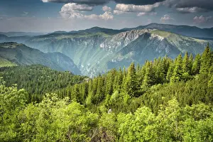 Tara Canyon Prints: Tara Canyon, Durmitor National Park, Montenegro