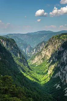 Tara Canyon Prints: Tara Canyon, Durmitor National Park, Montenegro