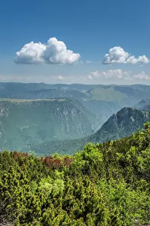 Tara Canyon Prints: Tara Canyon, Durmitor National Park, Montenegro