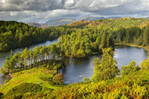 Tarn Hows in the Lake District, Cumbria, England
