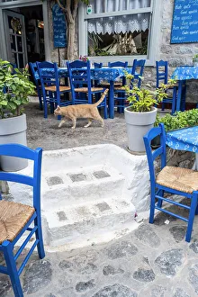 South West Europe Prints: Taverna in Hydra Town, Hydra (Ydra), Saronic Islands, Greece