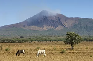 Images Dated 8th July 2008: Telica Volcano, Leon department, northwestern Nicaragua