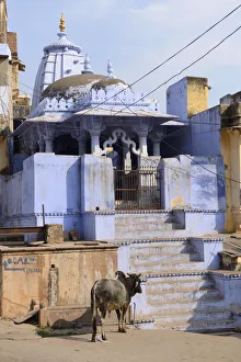 A temple in the City of Bundi, Rajasthan, India, Asia