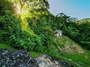 Palenque Prints: Temple of the Foliated Cross, elevated view