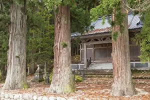Shrine Collection: Temple in forest, Ogimachi, Shirakawa-go, Toyama Prefecture, Japan