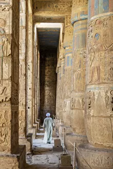 Images Dated 14th May 2020: Temple guardian at the temple of Ramses III on the West bank of the Nile at Luxor, Egypt