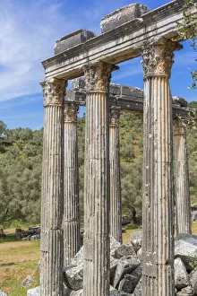 Mugla Province Prints: Temple of Zeus Lepsinos, Euromus, Mugla Province, Turkey