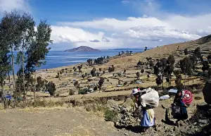 Workers Prints: Well tended terraces of Amantani Island with Taquile Island in the background