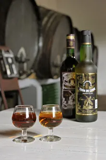 Terra do Conde cellars. Santa Cruz, Graciosa, Azores islands, Portugal