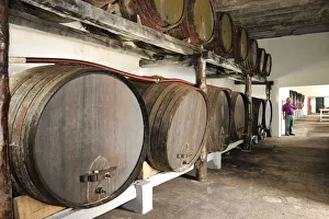 Barrels Prints: Terra do Conde cellars. Santa Cruz, Graciosa, Azores islands, Portugal