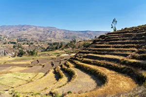 Qullqa Prints: Terraced fields at Canyon Colca, Yanque District, Caylloma Province, Arequipa Region, Peru