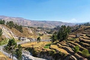 Peru Prints: Terraced fields and Colca River at Canyon Colca