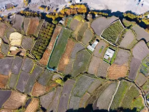 Straight Down Prints: Terraced fields in Kagbeni, Lower Mustang, Nepal