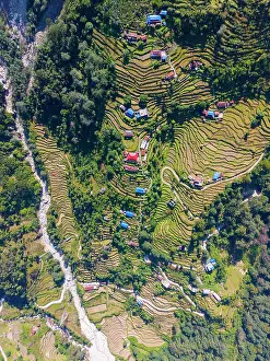 Gandaki Province Prints: Terraced fields near Pokhara, Annapurna Region, Gandaki Province, Nepal