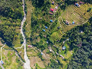 Gandaki Province Prints: Terraced fields near Pokhara, Annapurna Region, Gandaki Province, Nepal