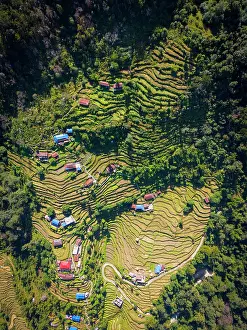 Farming Prints: Terraced fields near Pokhara, Annapurna Region, Gandaki Province, Nepal