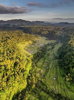 East Bali Prints: Terraced rice fields, East Bali, Bali, Indonesia