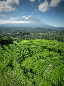 Mount Agung Prints: Terraced rice fields & Mount Agung volcano (highest mountain in Bali) Bali, Indonesia