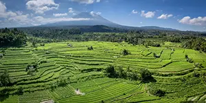 Mount Agung Prints: Terraced rice fields & Mount Agung volcano (highest mountain in Bali) Bali, Indonesia