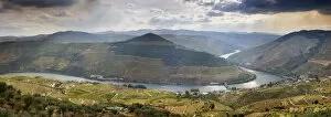 Images Dated 25th September 2013: Terraced vineyards along the Douro river and Pinhao. Alto Douro, a Unesco World Heritage Site
