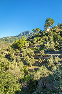 Terraces Prints: Terraces in the mountain village of Deia
