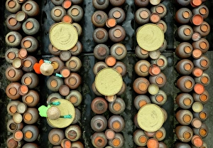Soy Sauce Prints: Terracotta urns full of soy sauce, Ban Village, near Hanoi, Vietnam