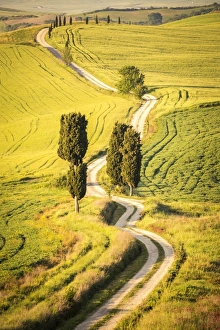 Tuscany Prints: Terrapille, Pienza, Val d Orcia, Tuscany, Italy