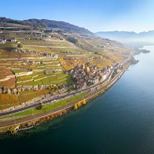 Vaud Prints: Terrasses de Lavaux Vineyards, Lake Geneva (Lac Leman), Vaud, Switzerland