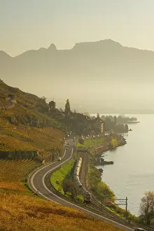 Vaud Prints: Terrasses de Lavaux Vineyards, Lake Geneva (Lac Leman), Vaud, Switzerland