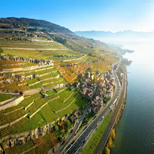 Wine Region Prints: Terrasses de Lavaux Vineyards, Lake Geneva (Lac Leman), Vaud, Switzerland