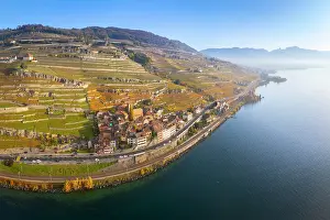 Wine Region Prints: Terrasses de Lavaux Vineyards, Lake Geneva (Lac Leman), Vaud, Switzerland