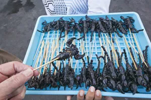 Images Dated 30th January 2015: Thailand, Bangkok, Khaosan Road, Tray of Fried Scorpions