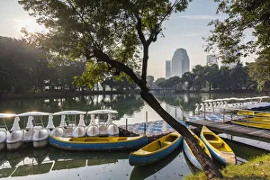 Parc Prints: Thailand, Bangkok, Lumphini Area, Lumphini Park, swan-shaped paddle boats