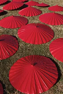 Images Dated 14th April 2014: Thailand, Chiang Mai, Borsang Umbrella Making Village, Painted Umbrellas Drying
