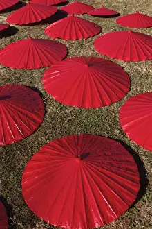 Chiang Mai Prints: Thailand, Chiang Mai, Borsang Umbrella Making Village, Painted Umbrellas Drying