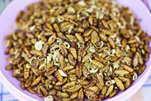 Market Collection: Thailand, Chiang mai, deep fried silk worm pupae (Bombyx Mori) for sale in a Thai market