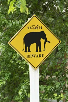 Images Dated 8th April 2021: Thailand, Chiang mai, Lampang, Thai Elephant Conservation Centre, elephant warning sign