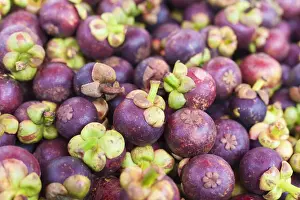 Market Stall Prints: Thailand, Chiang mai, mangosteens for sale at Thai market stall