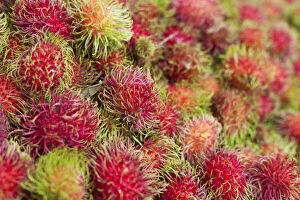 Images Dated 8th April 2021: Thailand, Chiang mai, Rambutans for sale at Thai market stall