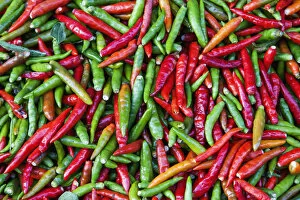 Images Dated 14th April 2014: Thailand, Chiang Mai, Warorot Market, Chillies