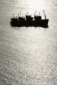 Ko Samui Gallery: Thailand, Ko Samui, Fishing boats moored at sea