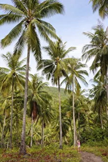 Ko Samui Gallery: Thailand, Ko Samui, Woman photographing jungle MR