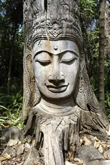 Buddha Gallery: Thailand, Krabi, Ko Phi Phi. Buddha face carved in a tree, Ko Phi Phi Don