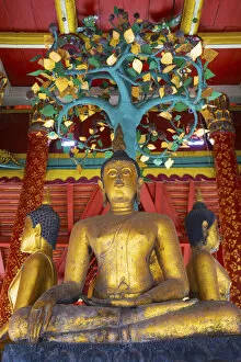 Images Dated 8th April 2021: Thailand, Lampang, Wat Pong Sanuk Nua, low view of buddha