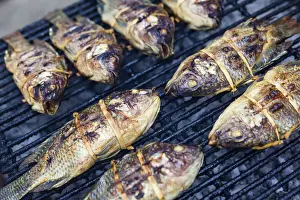 Market Stall Prints: Thailand, Lamphun, Chiang mai, fish for sale at Thai market
