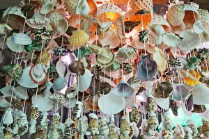 Thailand, Trat Province, Koh Chang, Bang Bao, Souvenir Seashells