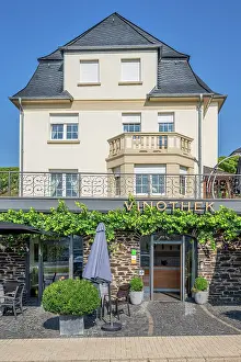 Wine Shop Prints: Thanisch winery at Lieser, Mosel, Rhineland-Palatinate, Germany