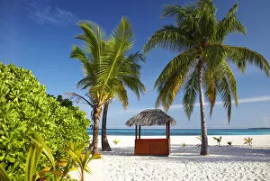 Relaxation Gallery: Thatched Beach Bar & Palm Trees, Kuredu, Maldives