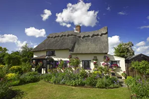 Thatched Cottage & Garden, Suffolk, England