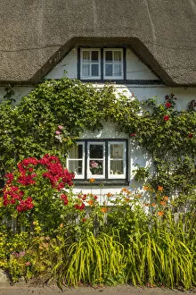 Images Dated 25th June 2020: Thatched cottage, Wherwell, Hampshire, England, UK